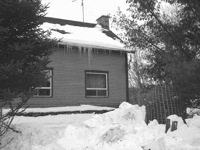 Girouette Austinoise - Weathercock -  Austin- QC. CANADA -  7 février 2009-  Maison de la girouette . N & B