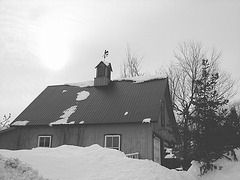 Girouette Austinoise - Weathercock -  Austin- QC. CANADA -  7 février 2009 -  B & W