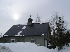 Girouette Austinoise / Weathercock - Photo originale