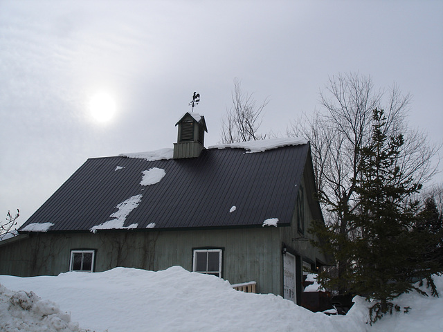 Girouette Austinoise / Weathercock - Photo originale