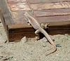 Lizard (4068)