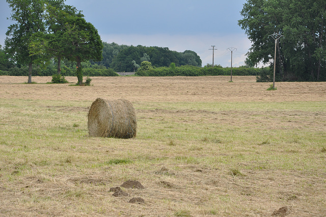 CAMPAGNE SEINE ET MARNE