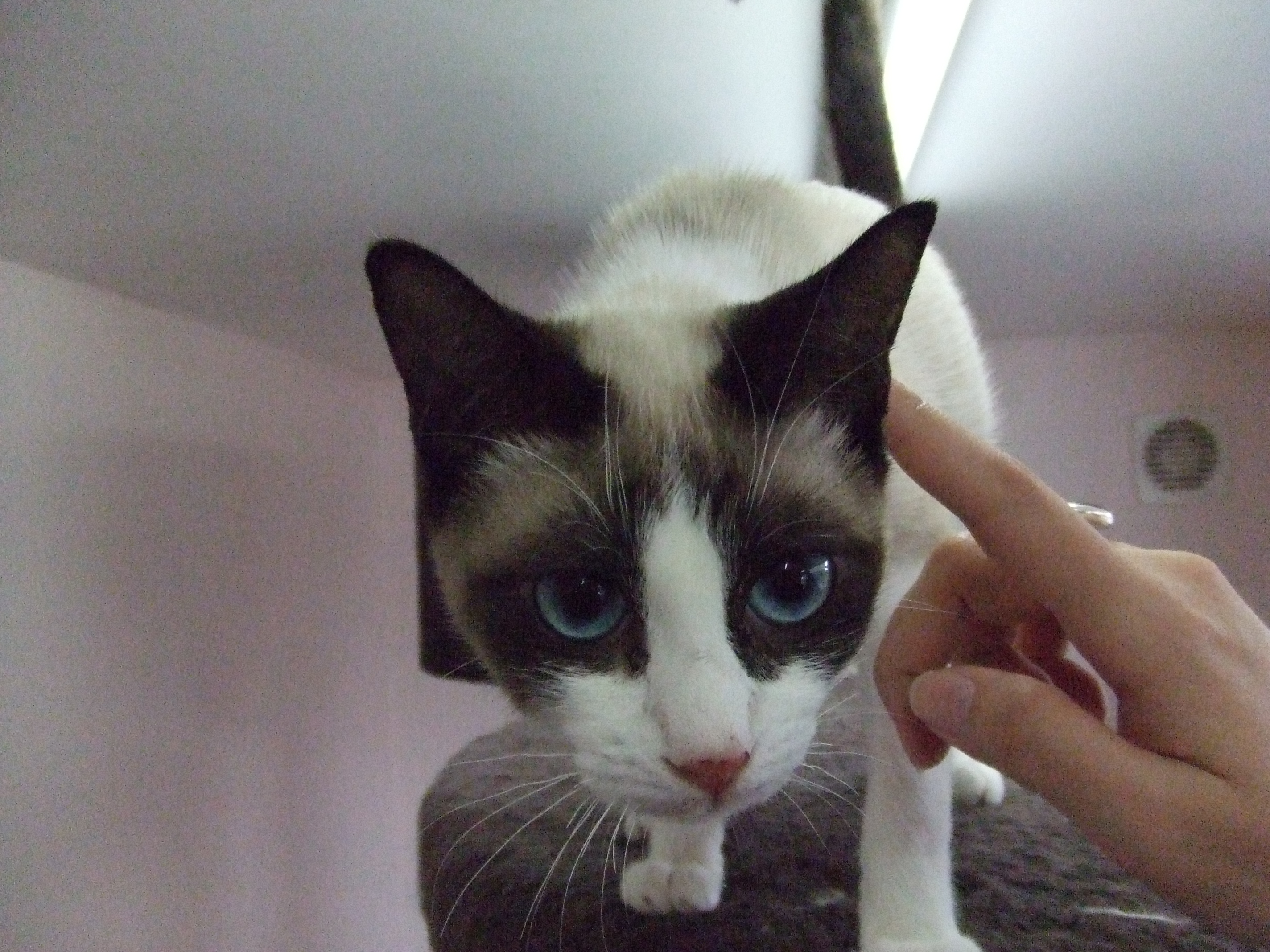 Photo 091