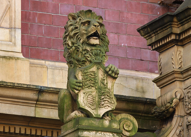 Post Office Lion