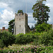 Greys Court- Gardens and Great Tower