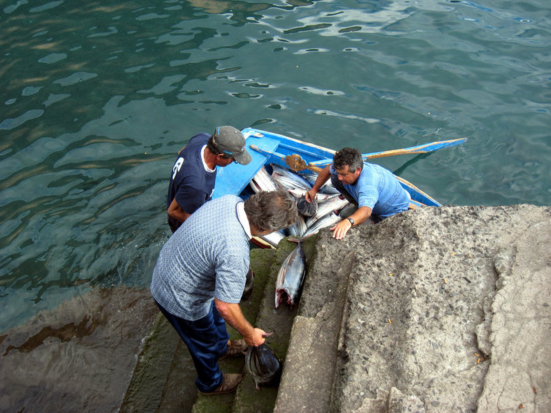 Gomera, Vueltas 2008