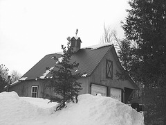 Girouette Austinoise - Weathercock -  Austin- QC. CANADA -  7 février 2009-  N & B