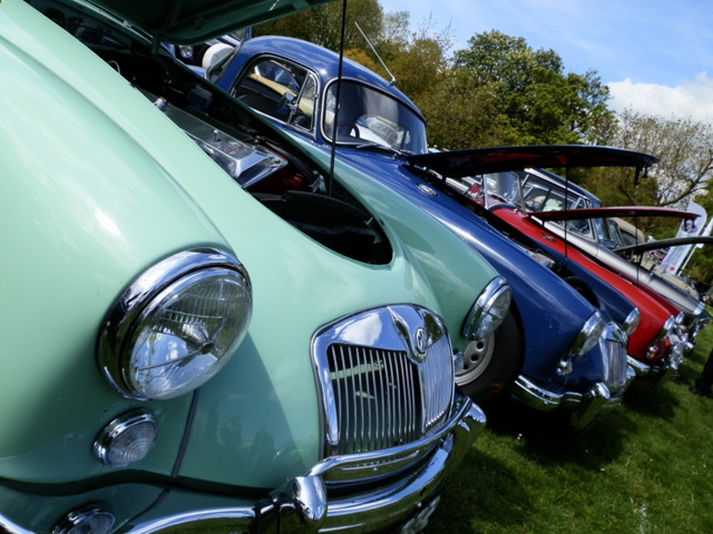 bfotmay132012 (1099)