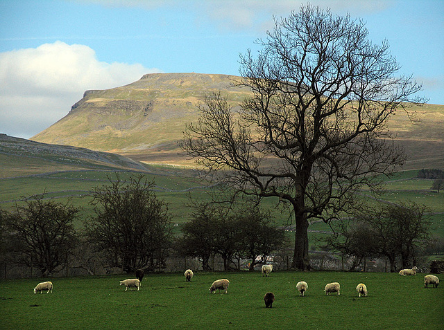 Ingleborough Ingleborough