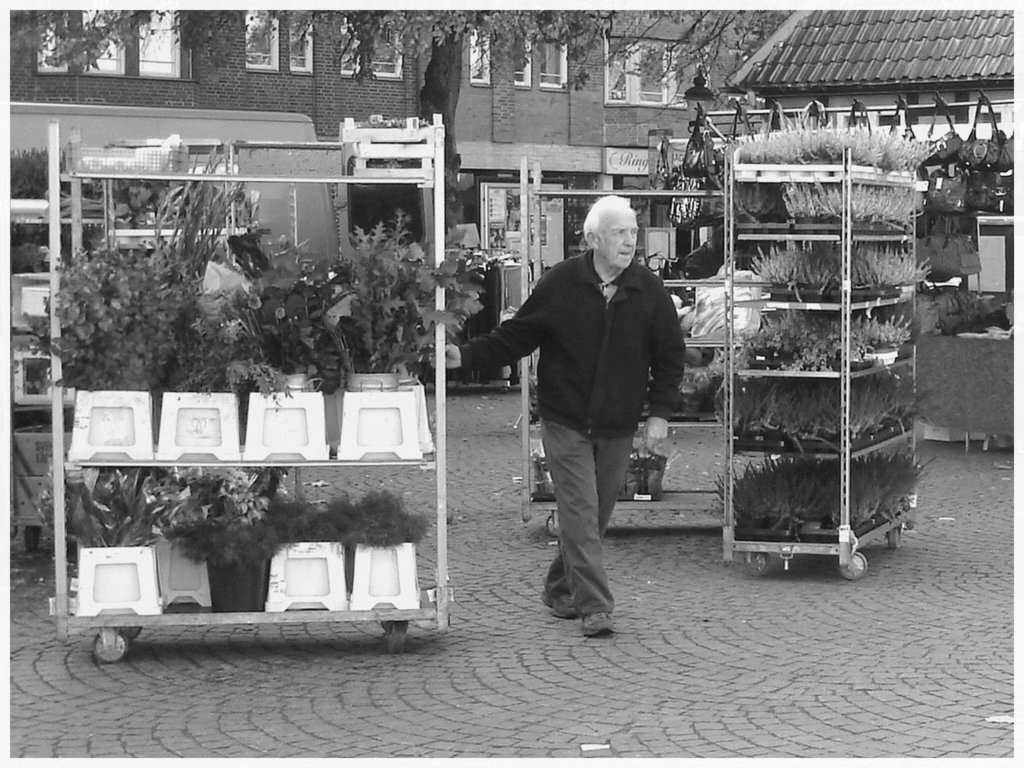 L' Homme et ses plantes - Fin d'un autre quart de travail / Ängelholm - Suède / Sweden - 23 octobre 2008-  B & W