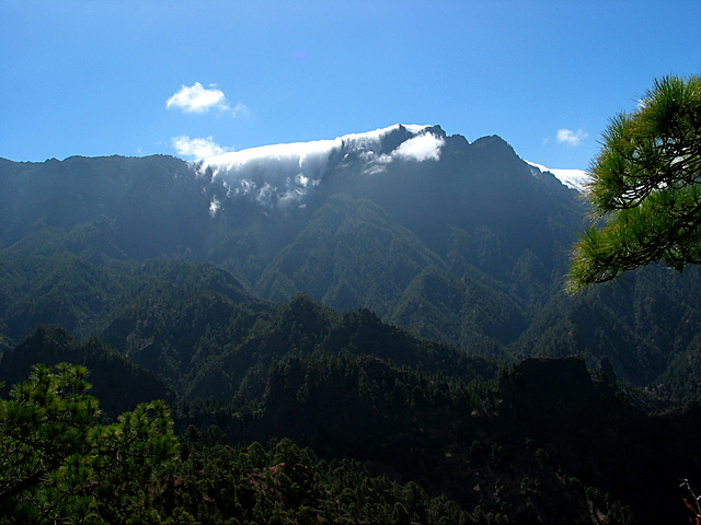 Blick in die Angustiaschlucht