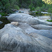 Chowchilla River Oasis (2628)