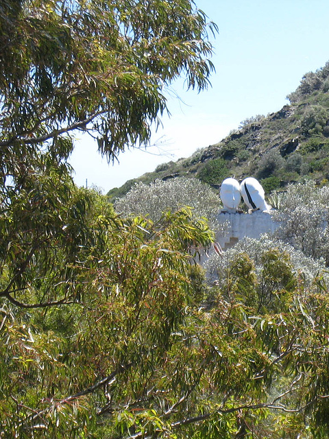 IMG 2233 Portlligat