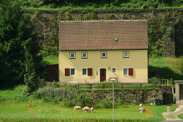 Spaziergang mit Überraschungen - promenado kun surprizoj