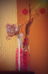 Beaux restes ....