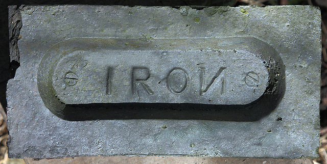 Iron