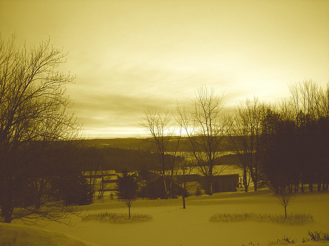 Lever de soleil / Sunrise -  Endroit :  Abbaye de St-Benoit-du-lac au Québec  - 7 février 2009- Sepia
