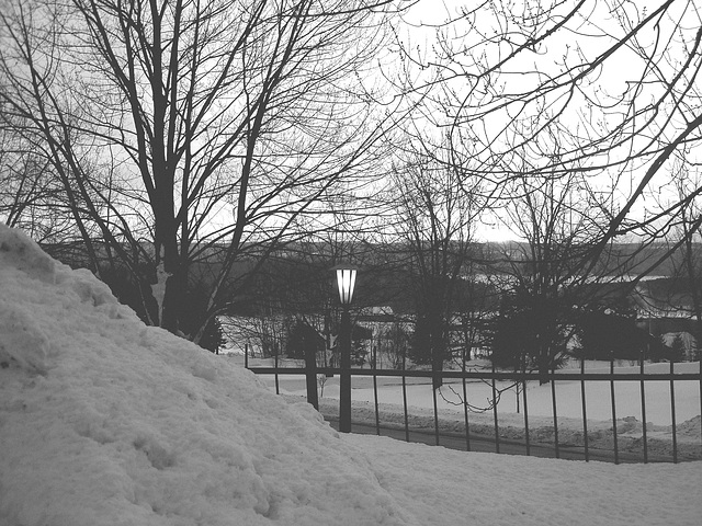 Lever de soleil / Sunrise -  Endroit :  Abbaye de St-Benoit-du-lac au Québec  - 7 février 2009-  B & W