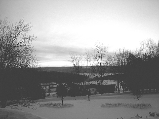 Lever de soleil / Sunrise -  Endroit :  Abbaye de St-Benoit-du-lac au Québec  - 7 février 2009 - B & W