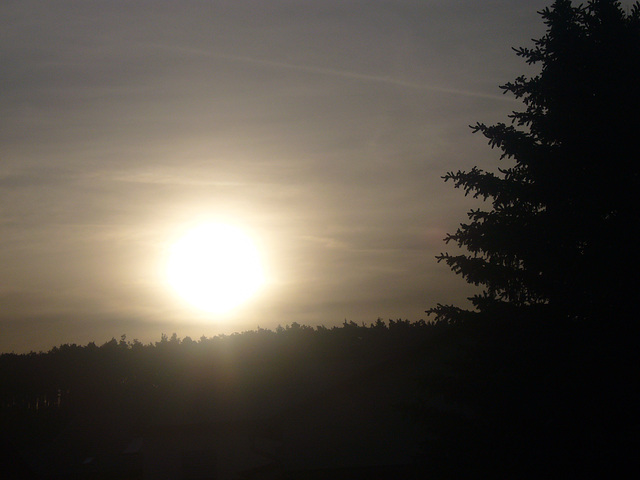 Sonnenaufgang im Frühjahr