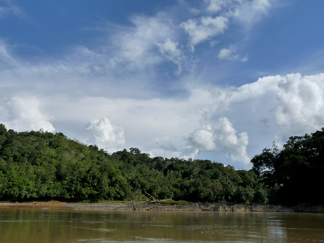 Cumulus Building near Pelagus Rapids