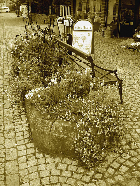 Scène de trottoir fleuri interfloré /  Interflore store scenery.   . Båstad .  Suède /  Sweden.  21 octobre 2008.  Sepia