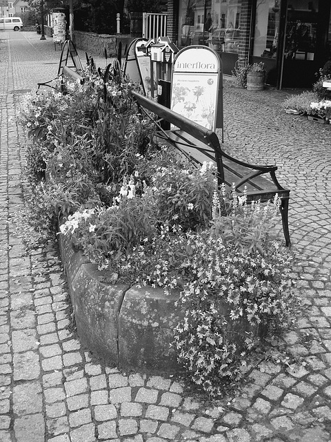 Scène de trottoir fleuri interfloré /  Interflore store scenery.   . Båstad .  Suède /  Sweden.  21 octobre 2008.  N & B