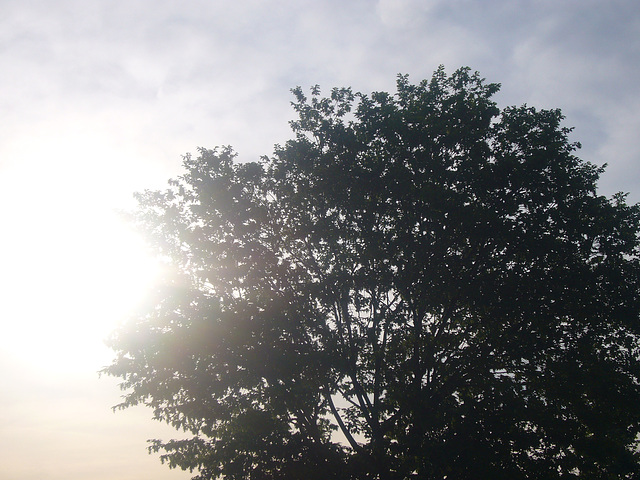 Sonnenaufgang im Frühjahr  4