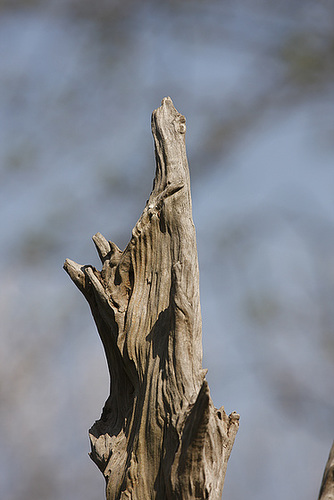 reach out