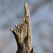 reach out