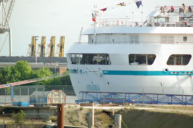 Amadea in Hamburg