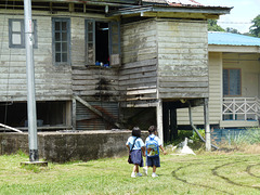 Passing the Sportsfield