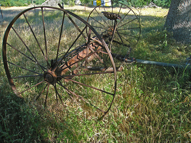 Old Farm Equipment (2619)