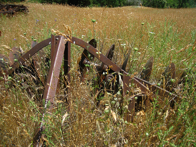 Old Farm Machinery (2530)