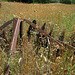 Old Farm Machinery (2530)