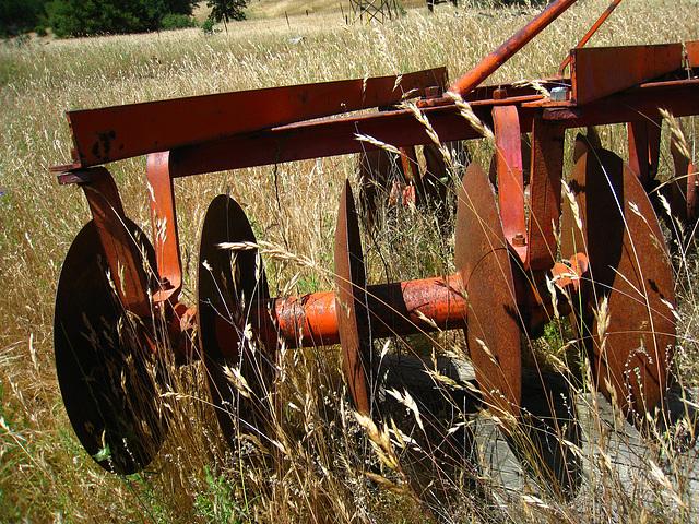 Old Farm Machinery (2532)