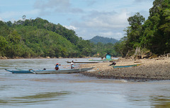 The Baleh River at Mujong