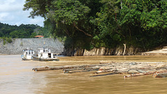 Logs on the Baleh River