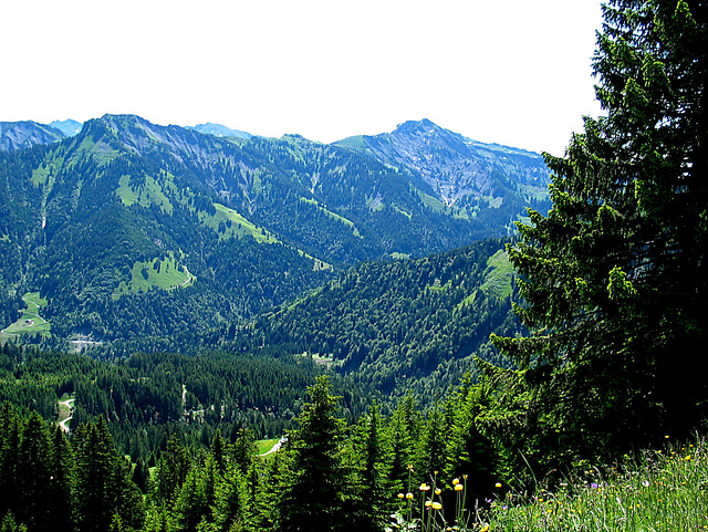 Blick auf den Hohen Freschen