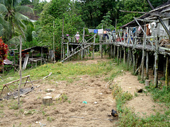 Longhouse Backyard