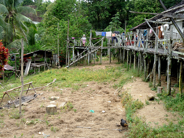 Longhouse Backyard