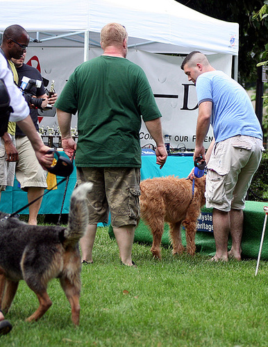 27.PrideOfPetsFunDogShow.Dupont.WDC.21June2009