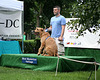 30.PrideOfPetsFunDogShow.Dupont.WDC.21June2009