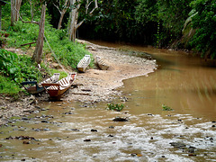 River near the Rumah Jandok Longhouse