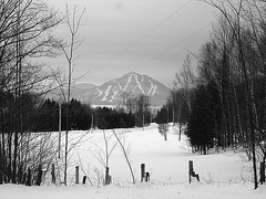 Montagne majestueuse et décor hivernal du Québec.  /   Majestic mountain and winter Quebec  scenery  -  Février 2008. -  B & W