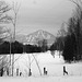 Montagne majestueuse et décor hivernal du Québec.  /   Majestic mountain and winter Quebec  scenery  -  Février 2008. -  B & W