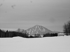 Montagne majestueuse et décor hivernal du Québec.  /   Majestic mountain and winter Quebec  scenery  -  Février 2008. - B & W