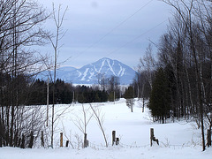 Montagne majestueuse et décor hivernal du Québec.  /   Majestic mountain and winter Quebec  scenery  -  Février 2008.