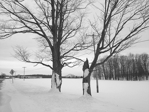 Montagne majestueuse et décor hivernal du Québec.  /   Majestic mountain and winter Quebec  scenery  -  Février 2008.- . B & W