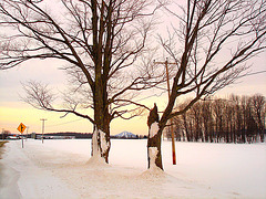 Montagne majestueuse et décor hivernal du Québec.  /   Majestic mountain and winter Quebec  scenery  -  Février 2008.